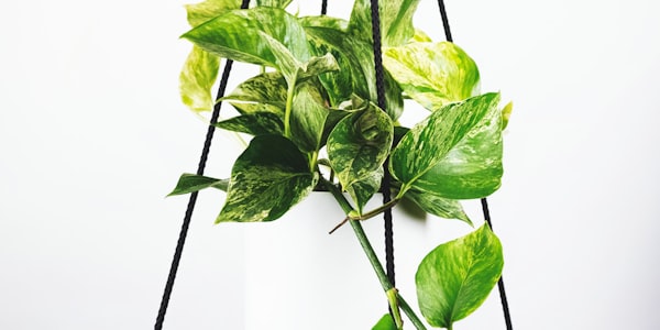 欧冠小组赛巴塞罗那队最新战况与出线形势分析